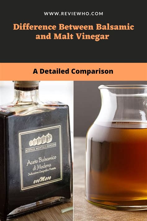 balsamic vinegar vs malt vinegar